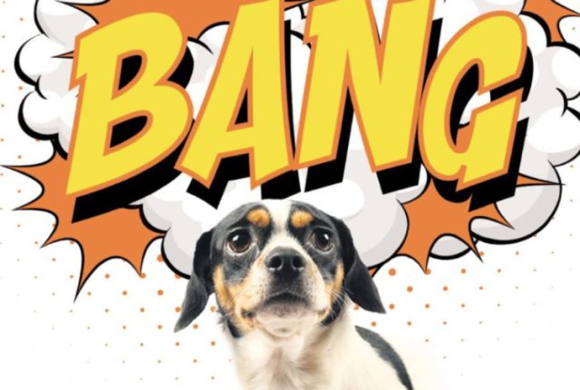 Een andere kijk op oud en nieuwjaarsdag