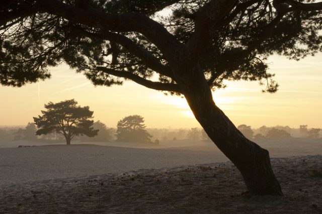 Henk en Karen, Soester Duinen Henk en Karen, Soester Duinen