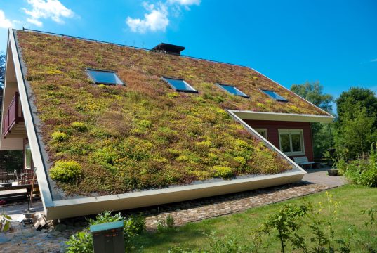 Vraag nu subsidie aan voor een groen dak