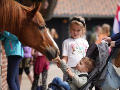 Open dag en snuffelmarkt bij Paaprdenkamp Soest Foto: Patrica de Boer - Opendag Paardenkamp Soest