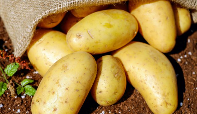 Politieke partij POS redt honderden kilo’s aardappelen