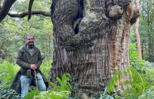 Bomenwandeling Korte Duinen met Jeroen Heindijk Foto: Jeroen Heindijk - Bomenwandeling Korte Duinen met Jeroen Heindijk