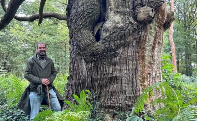 Foto: Jeroen Heindijk - Bomenwandeling Korte Duinen met Jeroen Heindijk Foto: Jeroen Heindijk - Bomenwandeling Korte Duinen met Jeroen Heindijk
