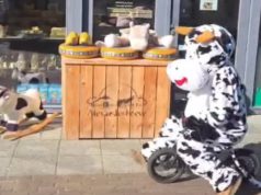 Veenweide op zoek naar speelgoed in Soest Veenweide op zoek naar speelgoed in Soest