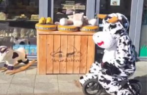 Veenweide op zoek naar speelgoed in Soest Veenweide op zoek naar speelgoed in Soest