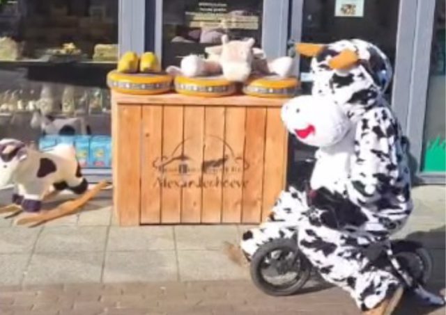 Veenweide op zoek naar speelgoed in Soest Veenweide op zoek naar speelgoed in Soest