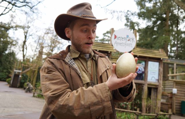 Dinoranger Niels heeft een van de eieren verstopt!