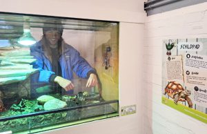 Officiële opening kleine dieren ruimte Veenweide Soest Officiële opening kleine dieren ruimte Veenweide Soest