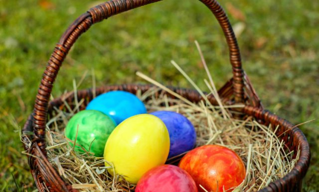 PaasLentefeest bij kinderboerderij De Veenweide PaasLentefeest bij kinderboerderij De Veenweide