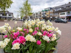 Ondernemers Van Weedestraat investeren samen in Soest Foto: Facebook - Ondernemers Van Weedestraat investeren samen in Soest