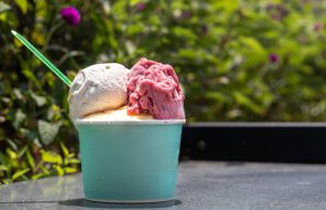 Italiaans ijs verovert Soest met opening Gelato Mio Italiaans ijs verovert Soest met opening Gelato Mio