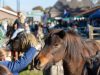 Open Dag bij De Paardenkamp trekt bezoekers naar Soest Foto: Facebook - Open Dag bij De Paardenkamp trekt bezoekers naar Soest