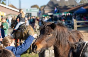 Open Dag bij De Paardenkamp trekt bezoekers naar Soest Foto: Facebook - Open Dag bij De Paardenkamp trekt bezoekers naar Soest