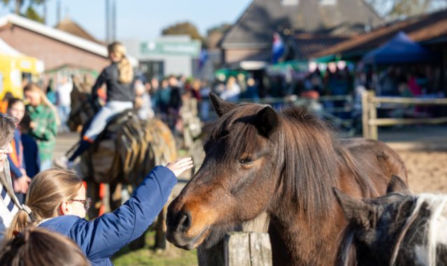 Foto: Facebook - Open Dag bij De Paardenkamp trekt bezoekers naar Soest Foto: Facebook - Open Dag bij De Paardenkamp trekt bezoekers naar Soest
