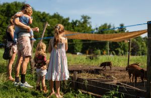 Bijzondere Opendag op de Willemshoeve Soest Fotograaf: Nine Geertman