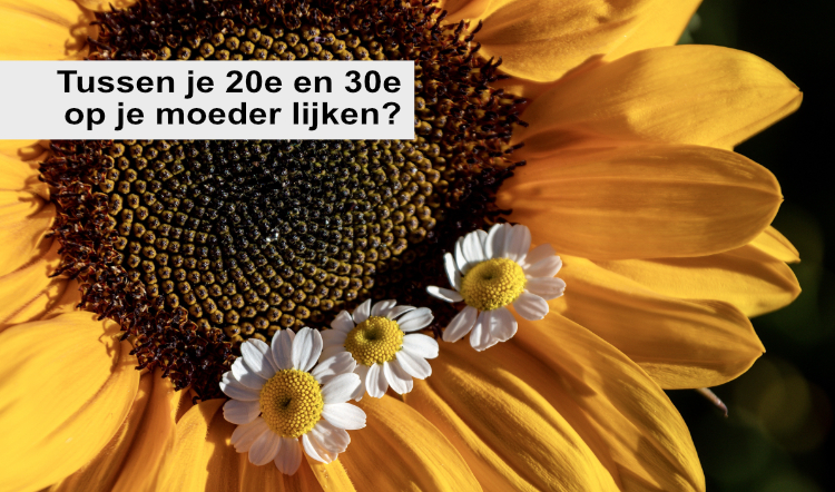 Zondag is het opletten geblazen in Soest